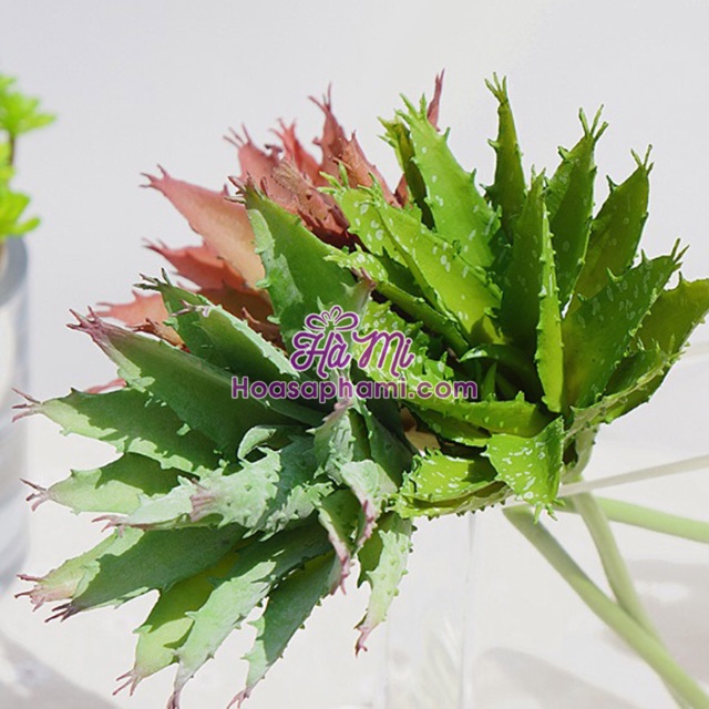 Sen đá giả - cành nha đam nhựa - sen đá đẹp như thật