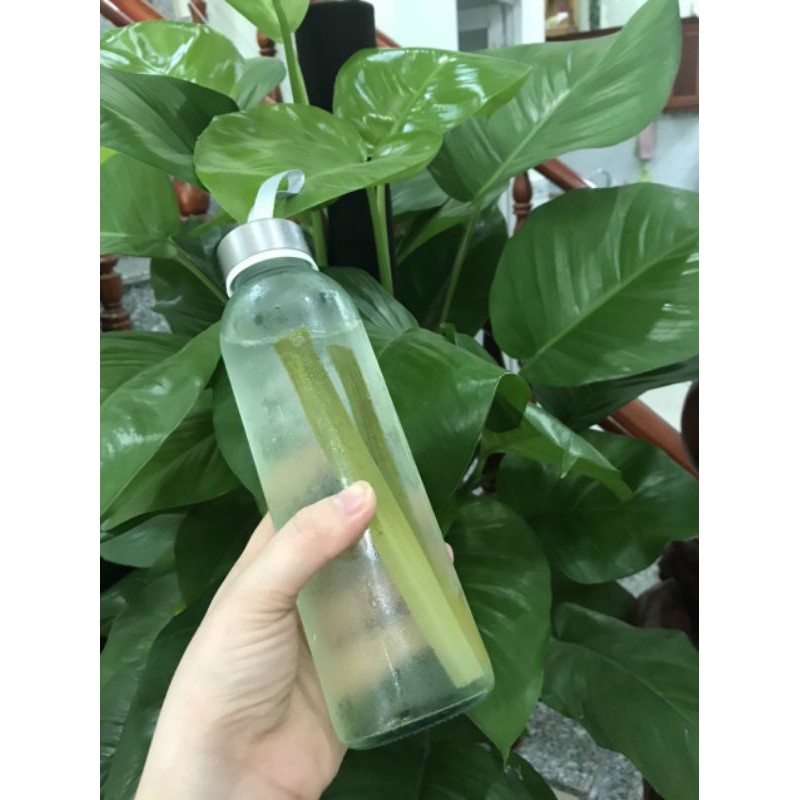 Mủ trôm nguyên chất Tuy Phong thanh nhiệt giải độc 250g