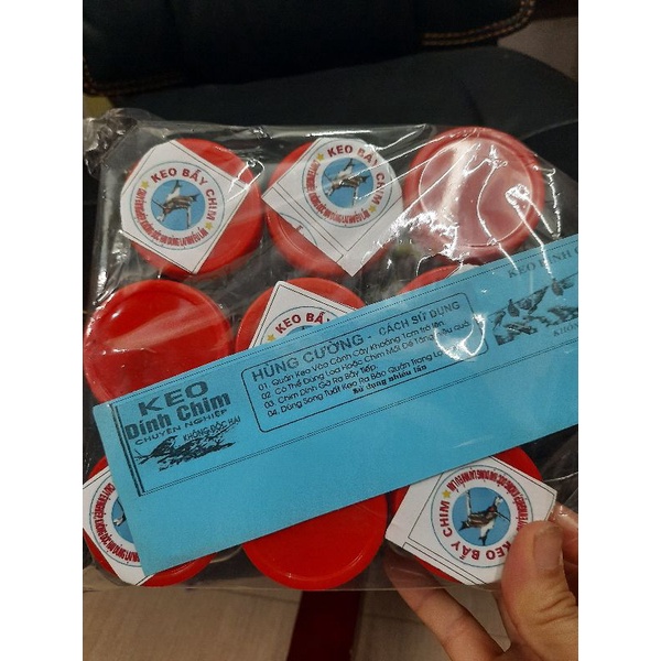 KEO BẪY CHIM