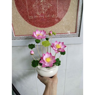 Chậu sen đất sét size nhỏ