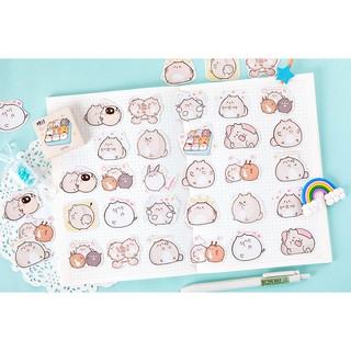 Sticker mèo ú