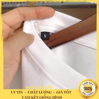 Áo Thun Cotton 100%