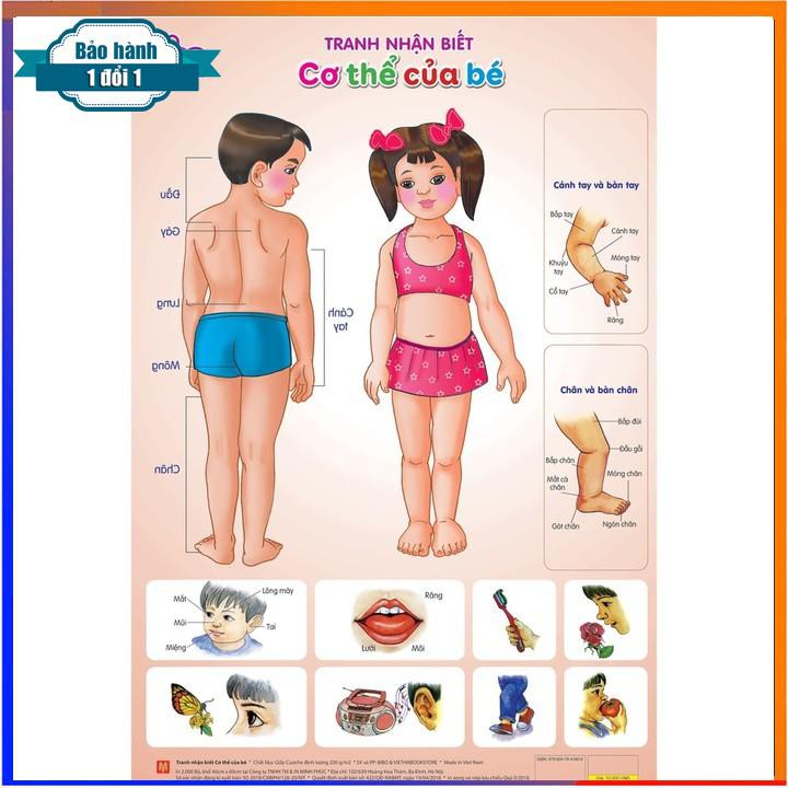 [ Gía siêu rẻ ] Bộ tranh nhận biết 12 chủ đề BIBO