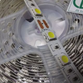 Cuộn Led Dây Dán Màu Trắng 12V Không Keo