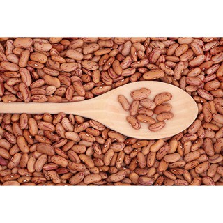 Đậu cúc pinto - pinto beans rajma chitra 1kg