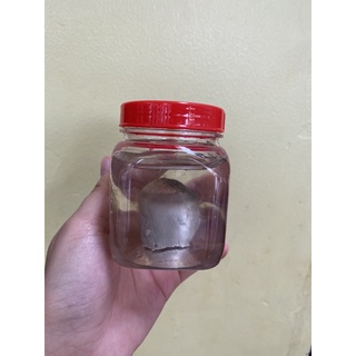 Keo bẫy chim- siêu dính