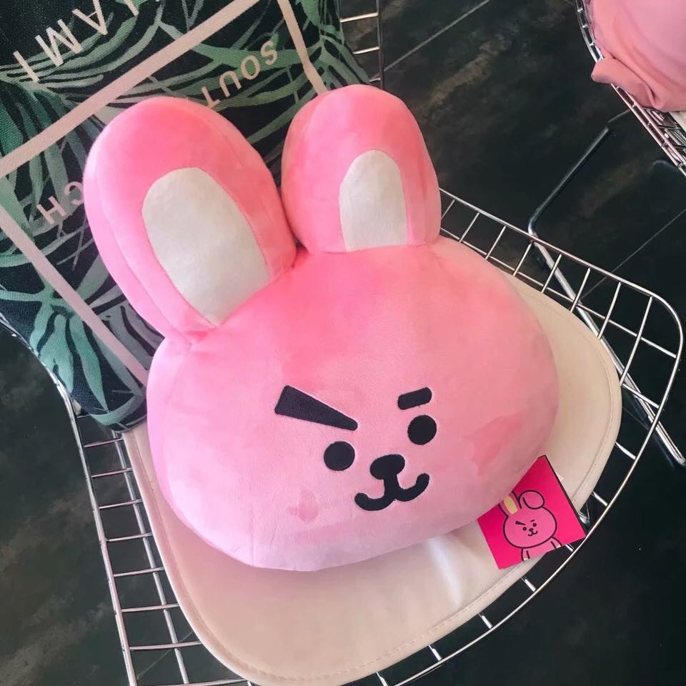 Gấu BT 21 gối bts ôm mềm mại bông xinh xắn tata VAN SHOOKY RJ MANG COOKY CHIMMY KOYA