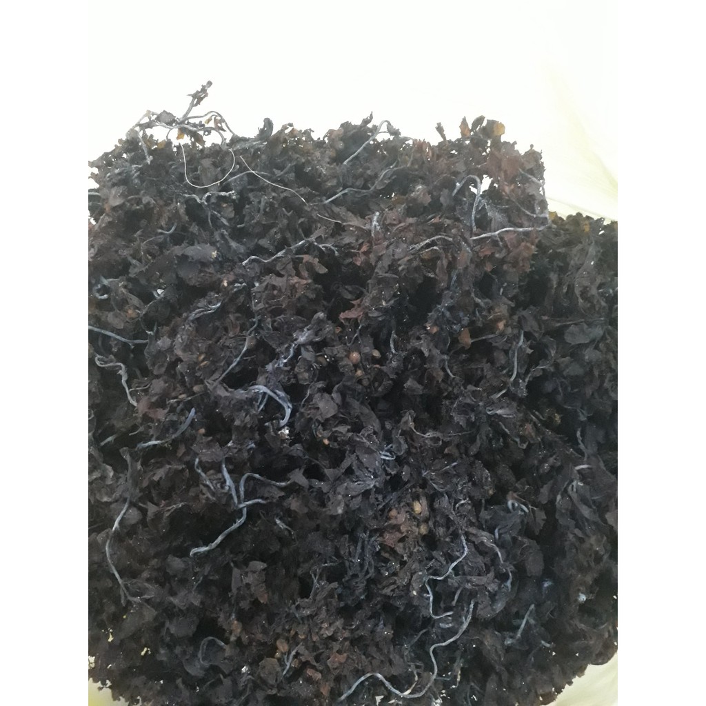 rong mơ khô- rong biển khô- hải thảo- sâm rong biển- rong mơ 500G