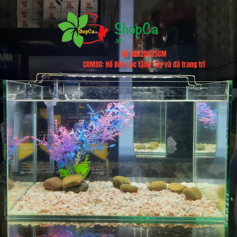 Combo Bể Cá Size 40cm (40x25x25) Nuôi Cá, Chơi Thủy Sinh, Nuôi Tép, combo gồm phụ kiện và trang trí đầy đủ