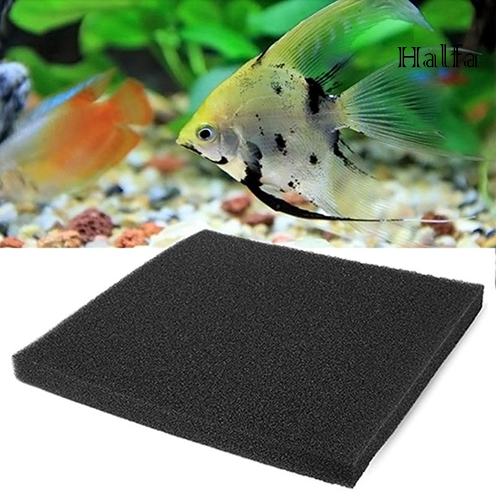 Miếng Xốp Lọc Hóa Sinh Cho Bể Cá
