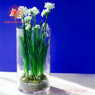 Bình bông thủy tinh trang trí D12x20, Bình cắm hoa thủy tinh trụ, lọ hoa hình trụ, trụ đổ đèn cầy, ống trụ tròn