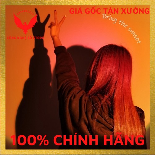 Đèn led tiktok, đèn hoàng hôn rose chuyển đổi 4 màu, đèn led trang trí, đèn để bàn chụp ảnh, quay video, livestream | BigBuy360 - bigbuy360.vn