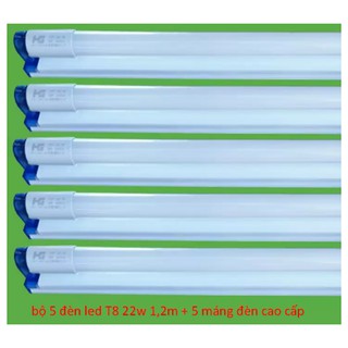 Combo 5 bộ đèn led tuýp T8 22w 1.2m + 5 máng đèn cao cấp
