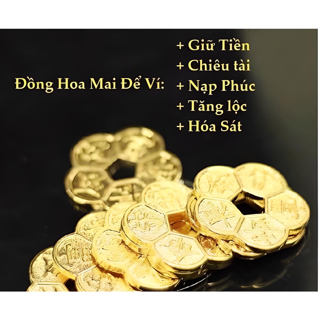 Đồng Xu Hoa Mai Kim Tien 5 Cánh Mạ Vàng