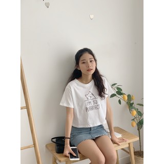 áo dáng ngắn CRT26 1994closet