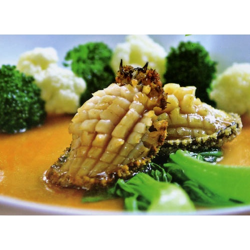 BÀO NGƯ VIỀN XANH ÚC