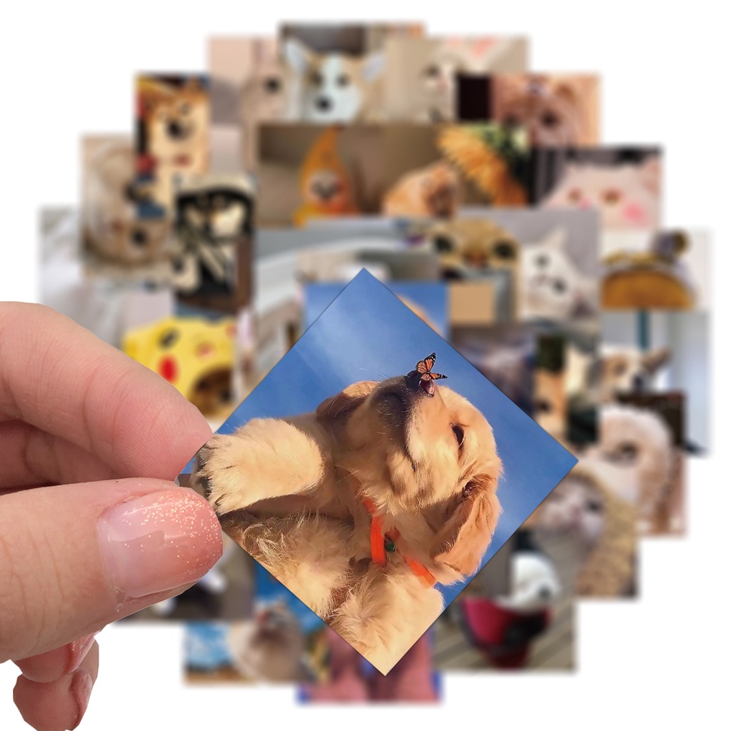 103/55/48 Miếng Dán Hình Mèo Và Chó Emoji Dễ Thương Trang Trí Điện Thoại