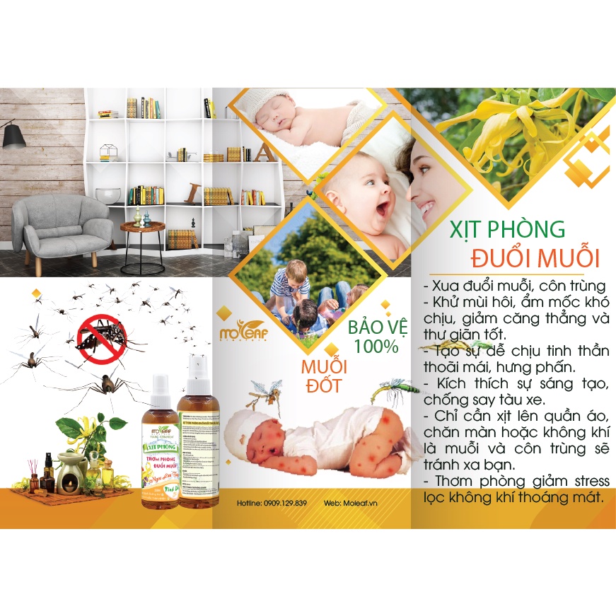 Xịt Thơm Phòng Moleaf - Tinh Dầu Hoa Hồng, Oải Hương, Ngọc Lan Tây, Tulip, Hoa Lài, Phong Lữ 250ml