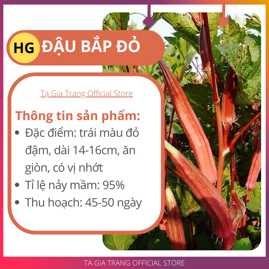 Hạt giống đậu bắp đỏ (mướp tây - đậu bắp tím)