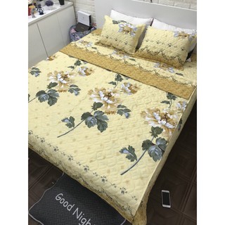 [RẺ VÔ ĐỊCH] Bộ Chăn Ga Gối Poly Chần Bông (Tặng kèm vỏ gối ôm)