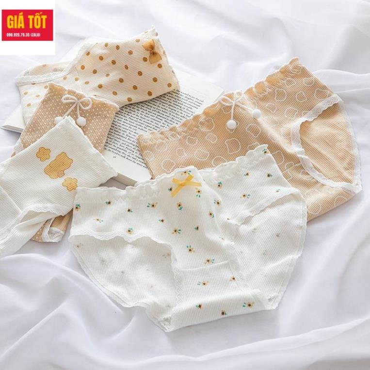 Quần lót trẻ em nữ 20kg 30kg 40kg ☑️ quần lót trẻ em gái (3 - 12 tuổi) ☑️ Thời trang bé gái 11 tuổi