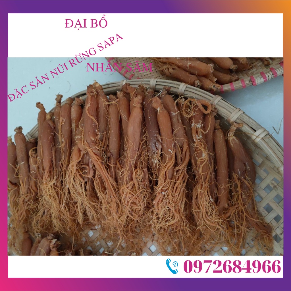 NHÂN SÂM (1 củ  NHỊ HỒNG SÂM) sấy khô củ 25-30gr dẻo thơm ngon dễ ăn bổ dưỡng tăng cường sức khỏe | BigBuy360 - bigbuy360.vn