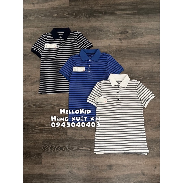 Áo thun polo cotton nữ