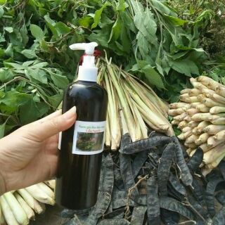 Combo 3 chai dầu gội đầu thảo dược handmade 250ml