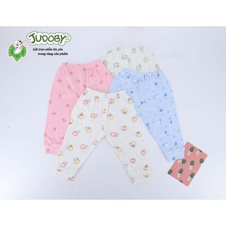 Jb246q quần dài judoby