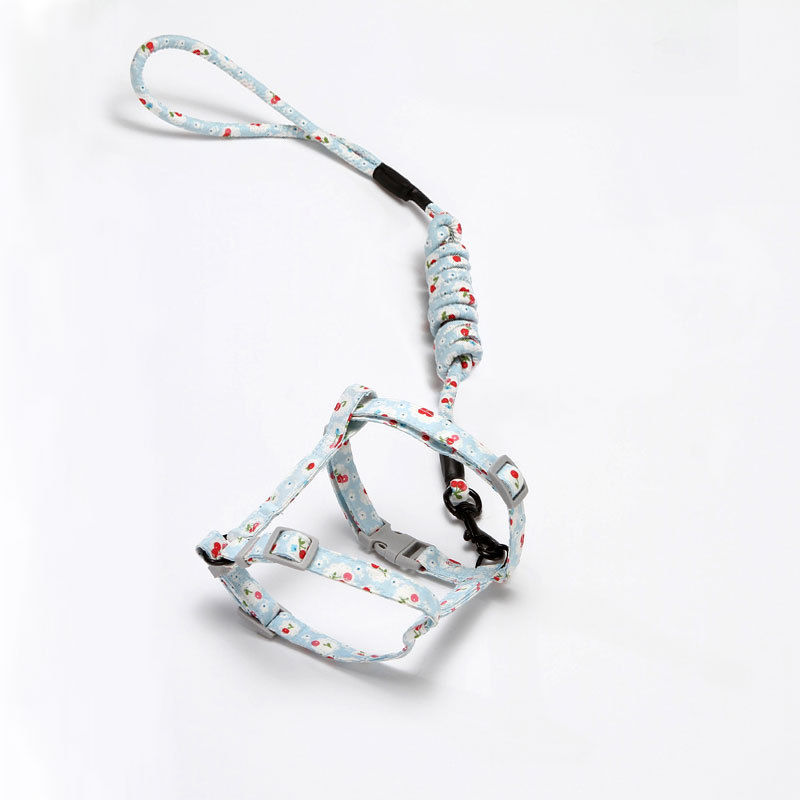 Dây Dắt Thú Cưng Đi Dạo Tiện Lợi