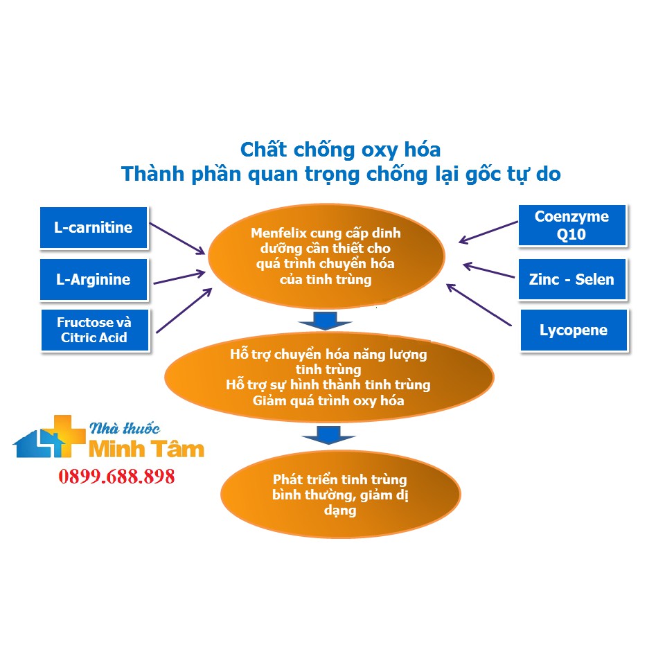 MENFELIX Bổ tinh trùng dành cho phái mạnh