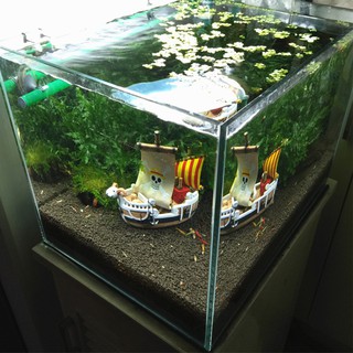 Hộp Trang Trí Bể Cá