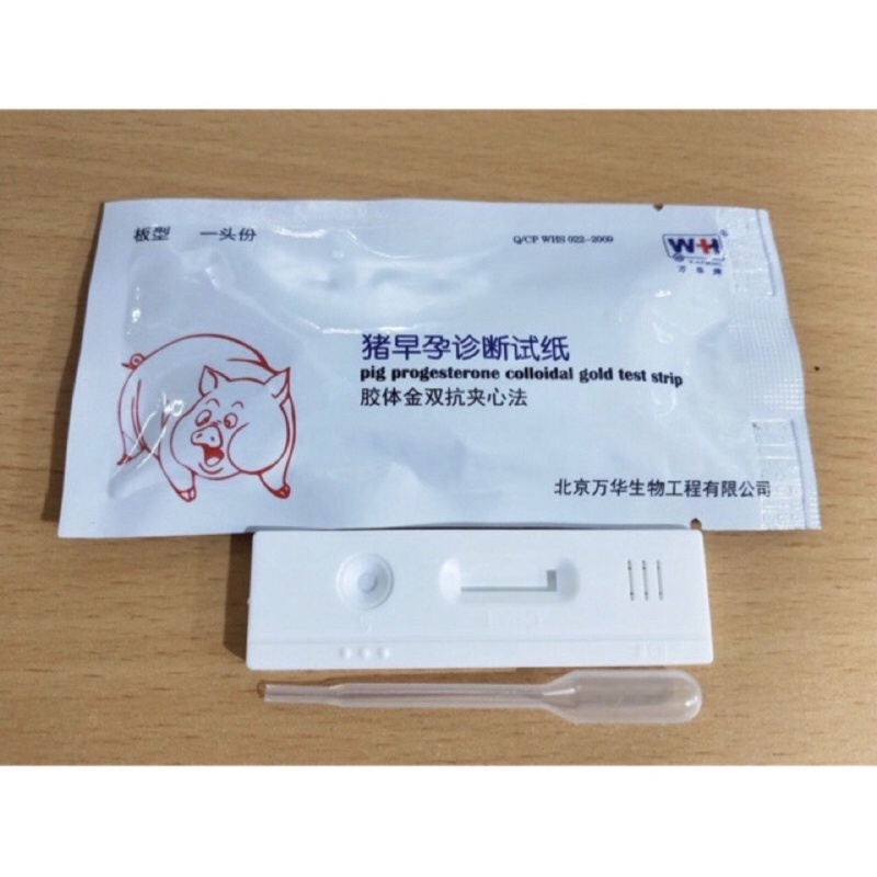 Que thử thai cho heo chính xác cao - Hà Vân Store