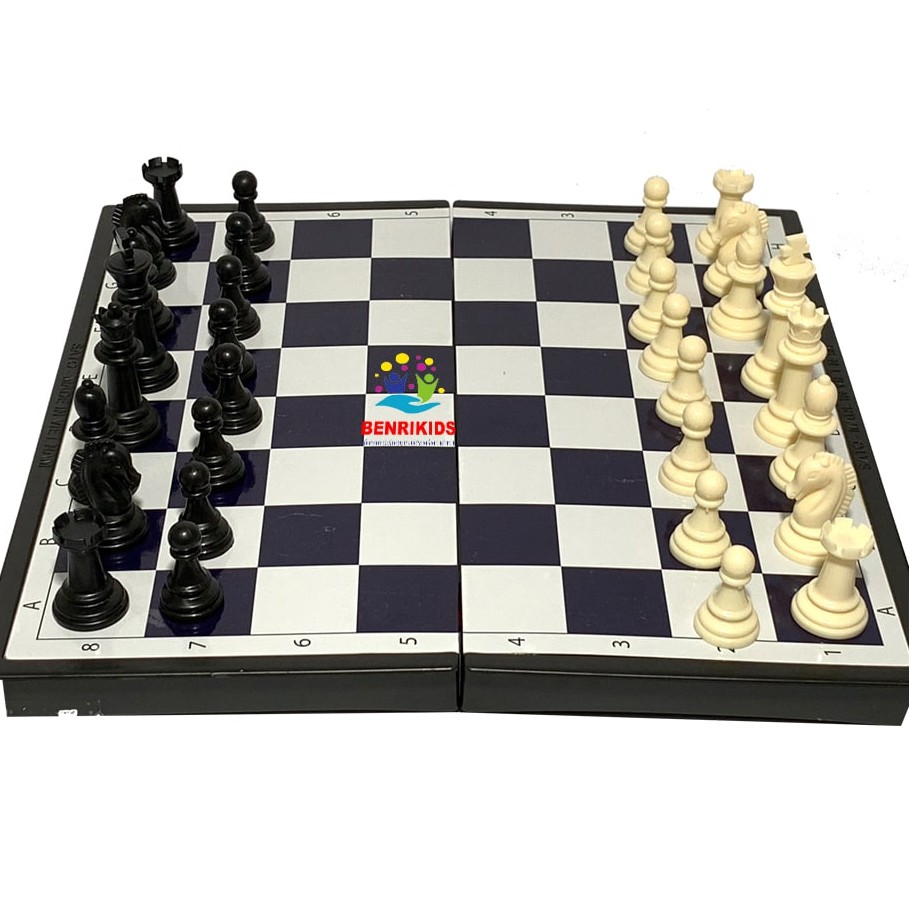 Cờ Vua Sato M1 Gắn Nam Châm Loại Đẹp Kèm Hộp Đựng Hàng VN