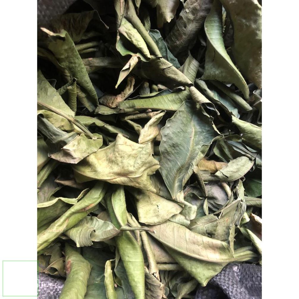 500gr Lá bưởi khô xanh thơm sạch