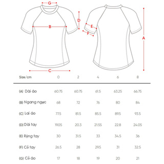 Áo thun ôm Andar tay ngắn AJFSS-36