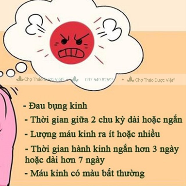 Ngải cứu khô, thơm, nguyên lá 500g - Chợ Thảo Dược Việt