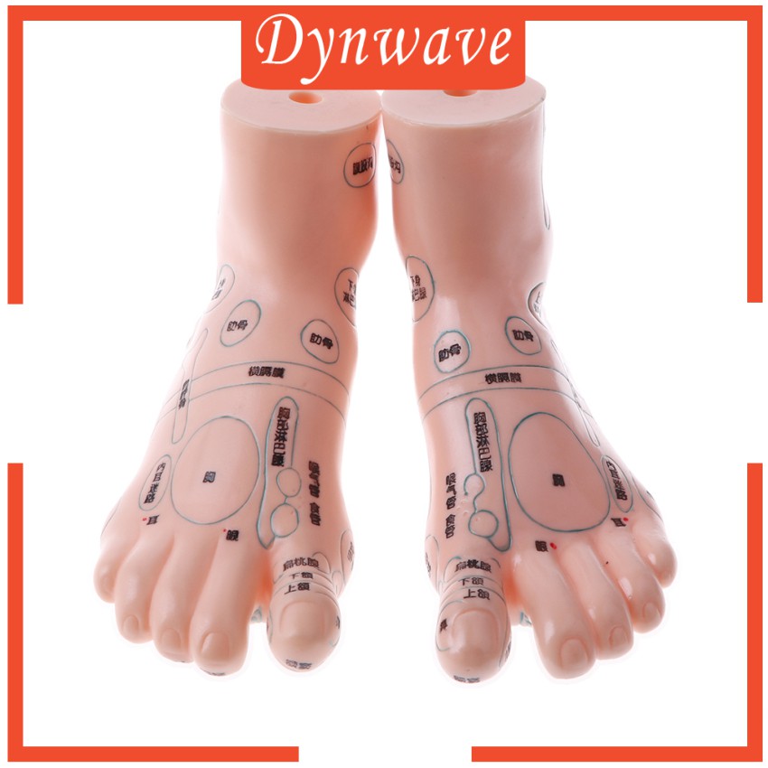 Mô Hình Châm Cứu Mát Xa Chân 19cm