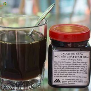 [FREESHIP 99K TOÀN QUỐC] CAO ATISO SA PA