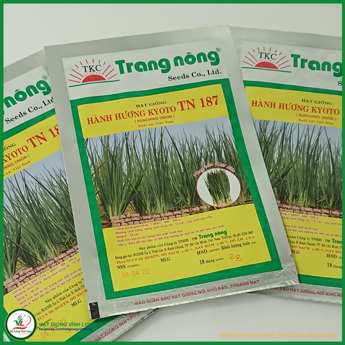 Hạt giống Hành hương chịu nhiệt TN 187 - 2g