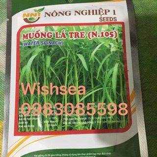Hạt giống rau muống lá tre