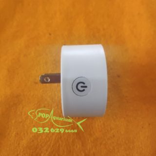 Hẹn giờ Timer Wifi (bản 2 chấu chất lượng cao) dùng hẹn giờ cho đèn, bình CO2 bể thuỷ sinh, cá cảnh, tép cảnh