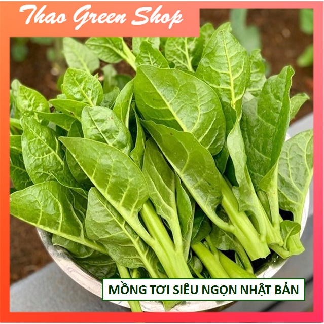 Hạt Giống Mồng Tơi Lùn Siêu Mập Siêu Ngọn Nhật Bản Gói Mini 30 Hạt