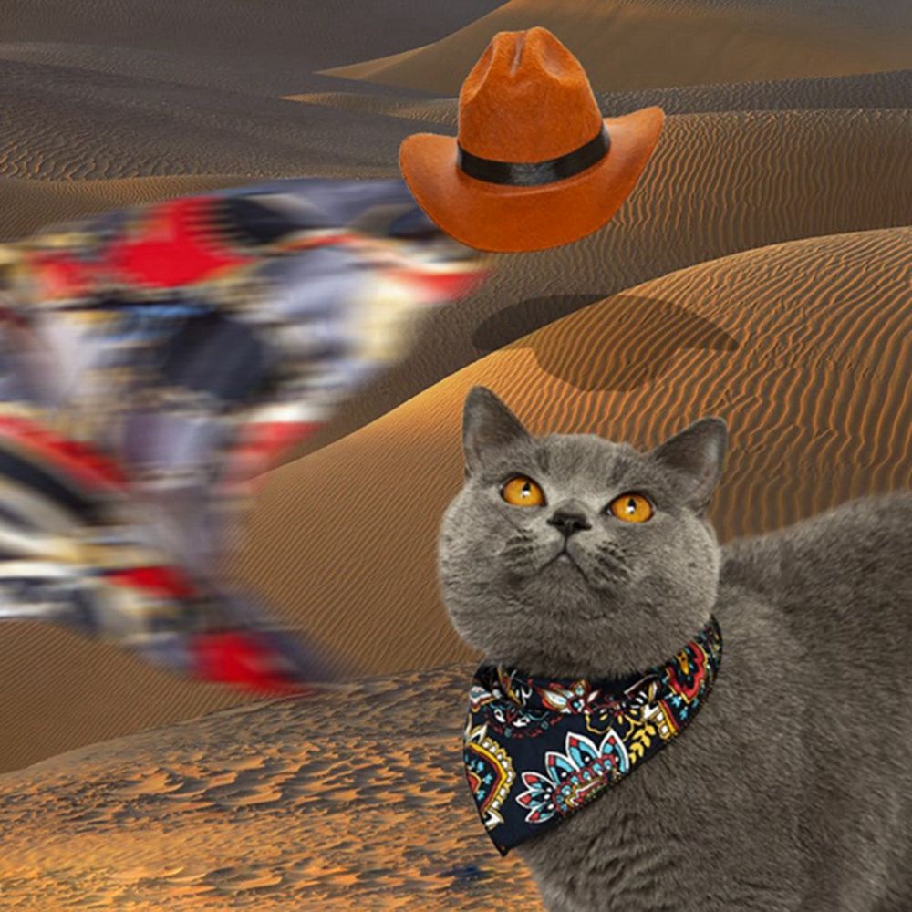 YIYU Mũ cao bồi vui nhộn trang trí cho thú cưng 1 tuổi