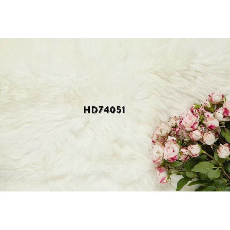 PHÔNG 3D CHỤP ẢNH SẢN PHẨM KIỂU MIX THẢM LÔNG
