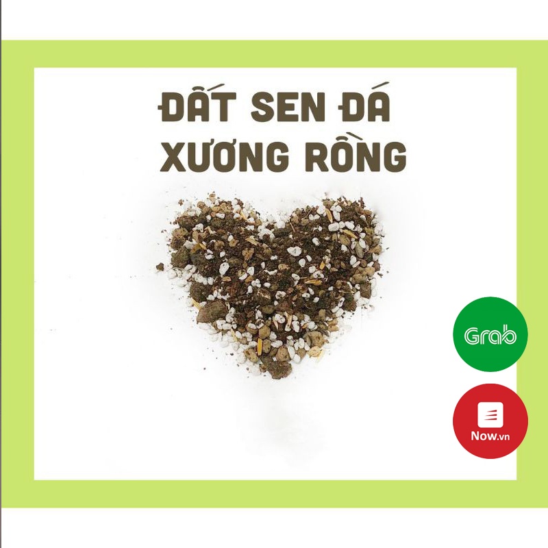 Đất Trộn Cao Cấp trồng Sen Đá , Xương Rồng ( Mua số lượng đều gom lại thành 1 túi )