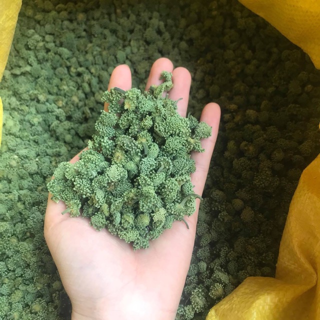 Nụ hoa tam thất bao tử 500g