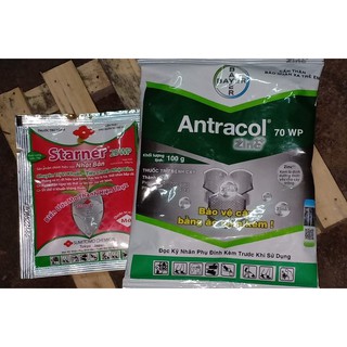 Bộ đôi hoàn hảo trừ bệnh-trên hoa lan- 1antracol 100g-1 starner 10G