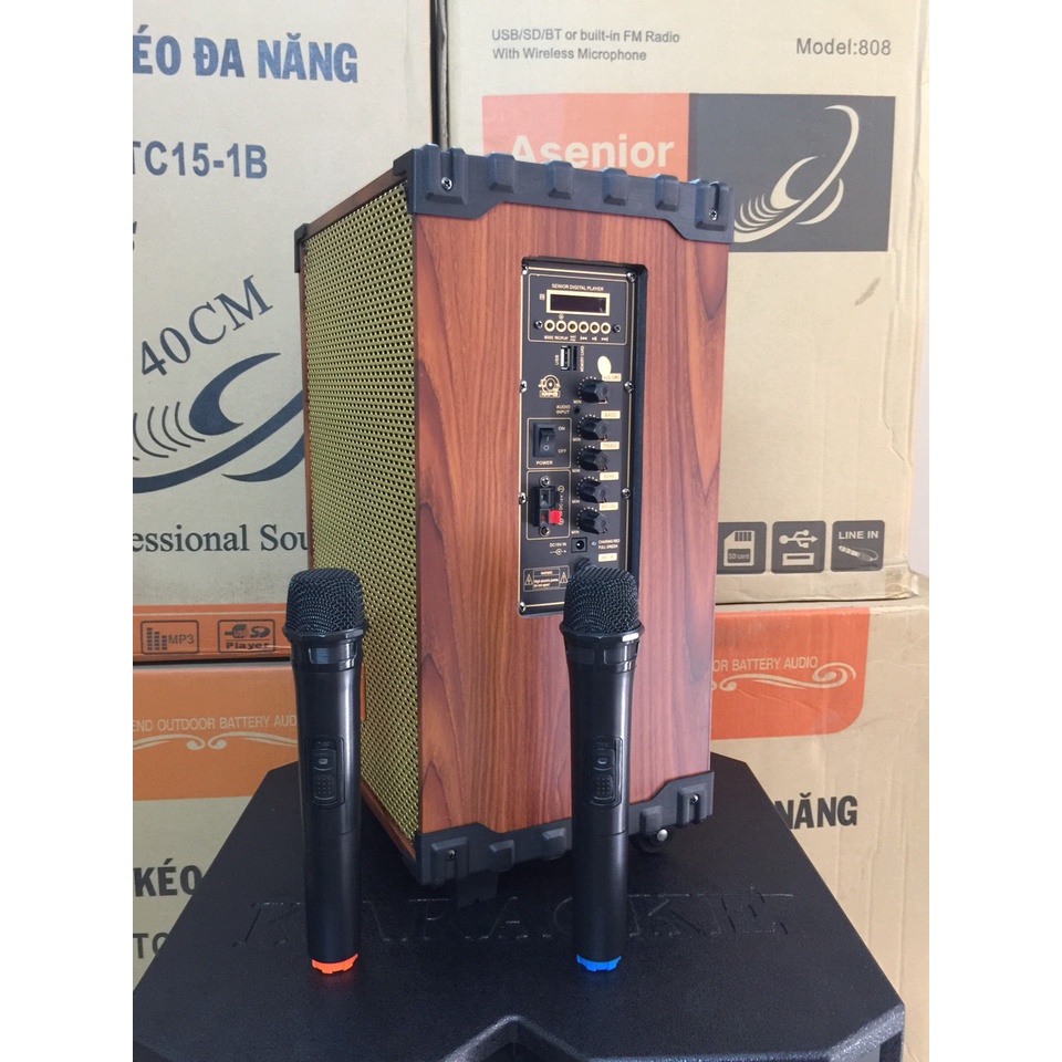 Loa kéo karaoke temeisheng, loa kẹo kéo Q10S thùng gỗ, bass 2,5 tấc hát, nghe nhạc hay tặng kèm 2 micro không dây