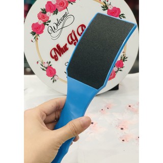 Cây Chà Gót Chân Nhám Cán Mủ Cong (Chà Khô)